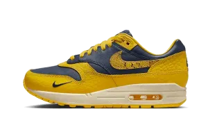 Nike Air Max 1 CO.JP Michigan